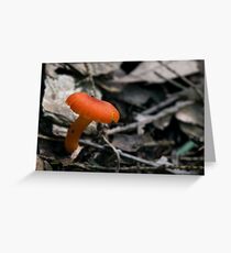 Orange Mushroom Greeting Card