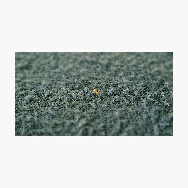 WTF?? Photographic Print