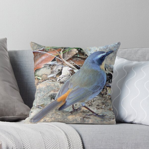 Item preview, Pájaro de Kirstenbosch designed and sold by Graeme  Hyde.