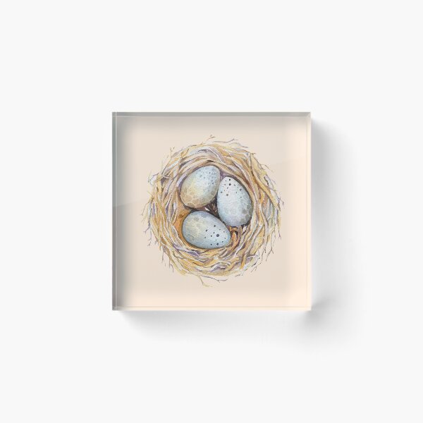Item preview, eggs in the nest designed and sold by thetypographer.