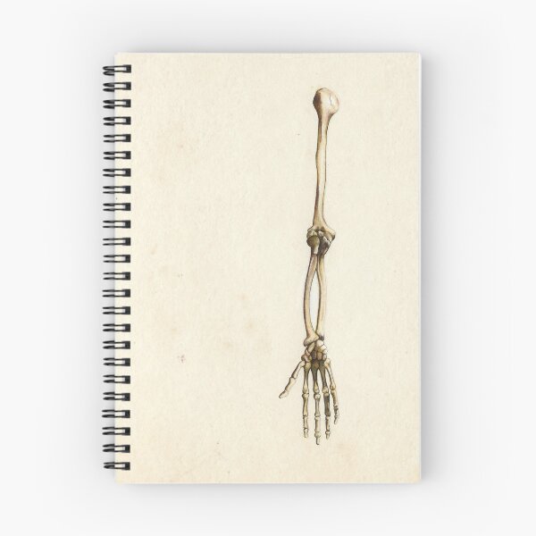 Item preview, "Funny Bone" designed and sold by Elaine Bawden.