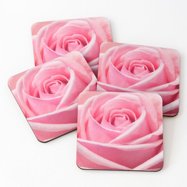 Item preview, Large soft pink rose in full bloom. designed and sold by claireseyeview.