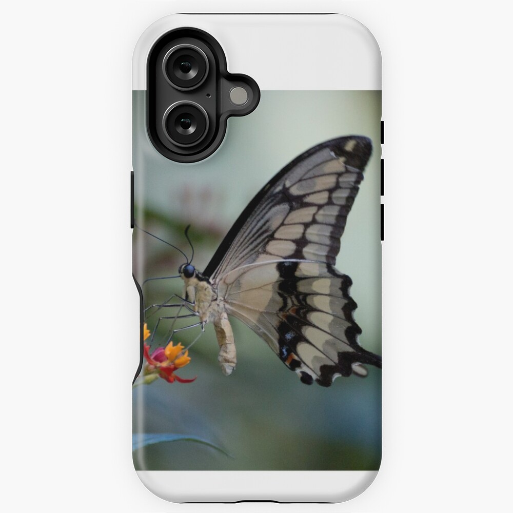 Item preview, iPhone Magsafe Tough Case designed and sold by pietrofoto.