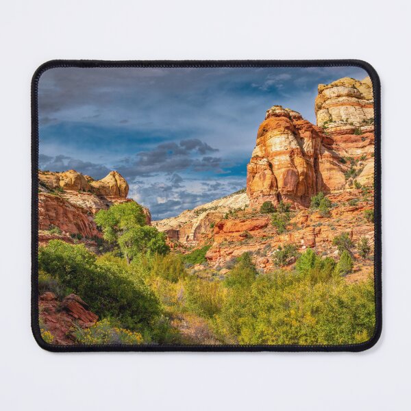 Item preview, A Walk in Calf Creek Trailhead designed and sold by Viv Thompson Photography .