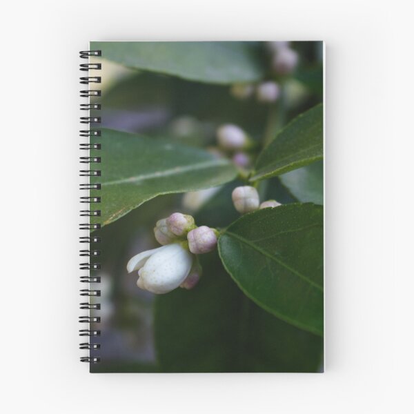 Item preview, Lovely Lime Blossom designed and sold by Samantha Bailey.