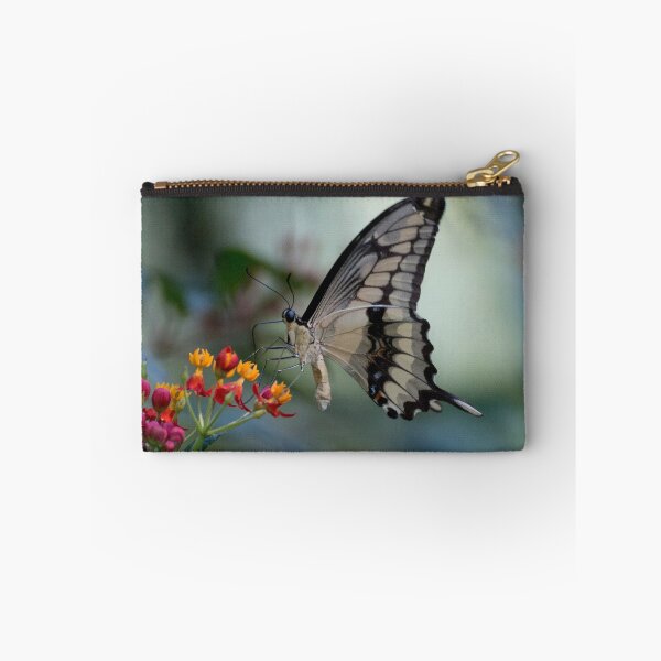 Item preview, Citrus swallowtail designed and sold by pietrofoto.
