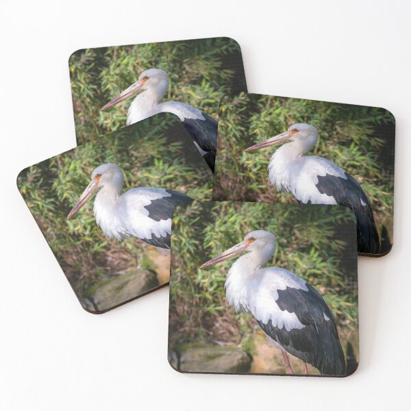 Item preview, White Stork stands on a stone designed and sold by LubosChlubny.