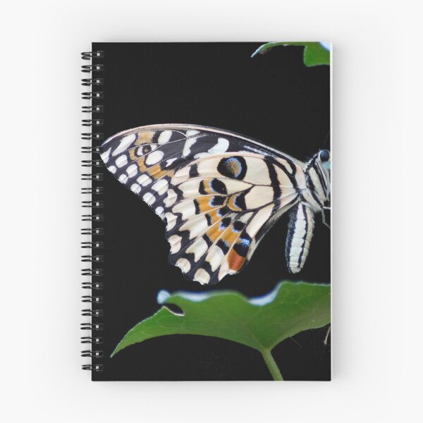 Item preview, Citrus swallowtail butterfly designed and sold by pietrofoto.