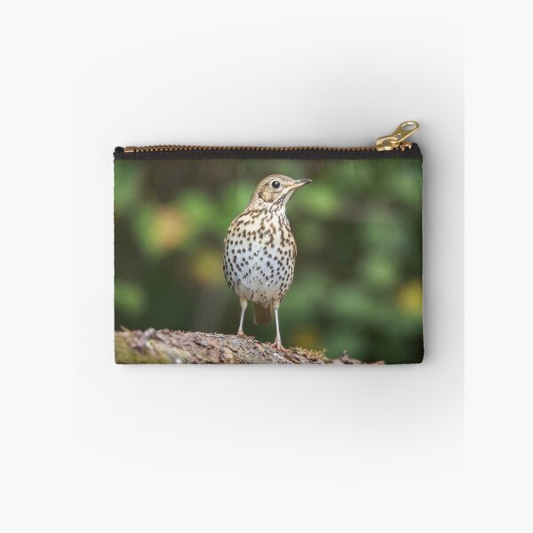 Item preview, Song Thrush #1 designed and sold by Dominika Aniola.