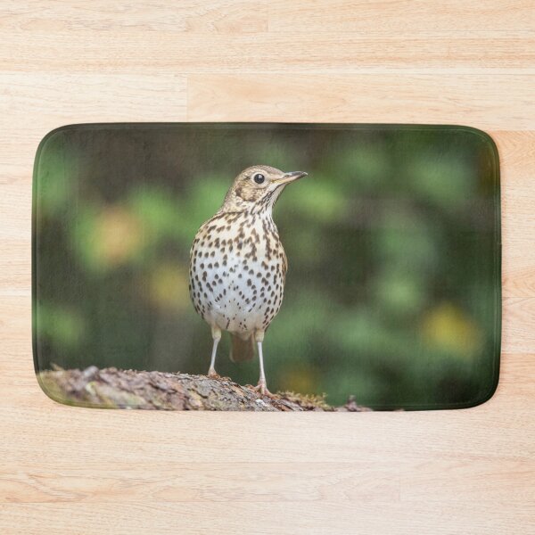Item preview, Song Thrush #1 designed and sold by Dominika Aniola.