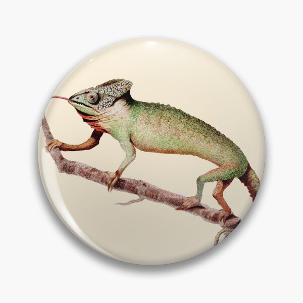 Item preview, The Chameleon by George Shaw 1792. designed and sold by wildtribe.