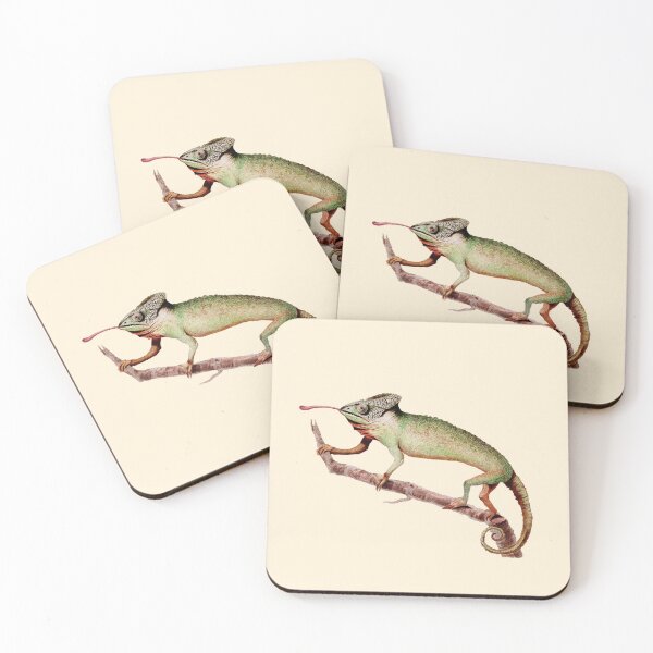 Item preview, The Chameleon by George Shaw 1792. designed and sold by wildtribe.