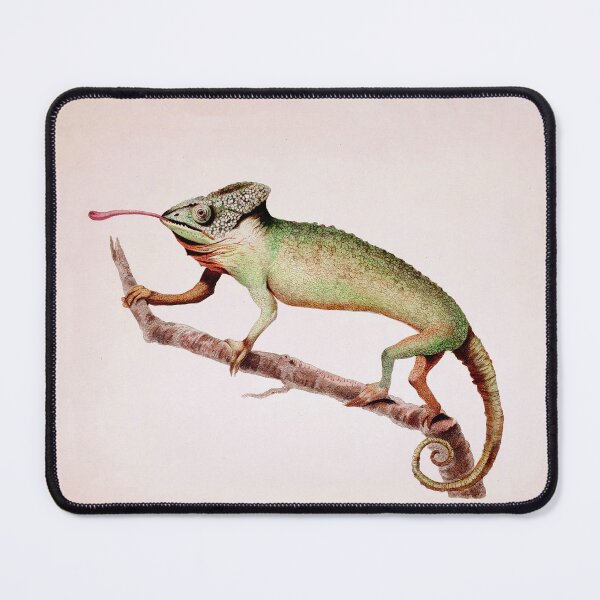 Item preview, The Chameleon by George Shaw 1792. designed and sold by wildtribe.