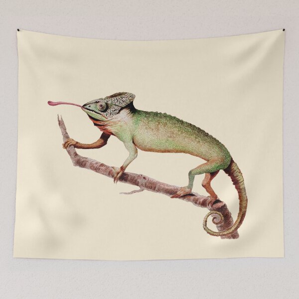 Item preview, The Chameleon by George Shaw 1792. designed and sold by wildtribe.