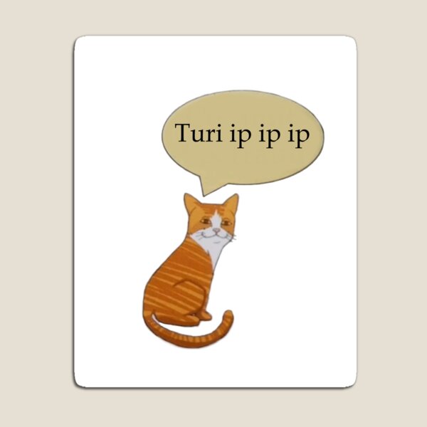 Turi Ip Ip Funny Cat Shitpost Meme 