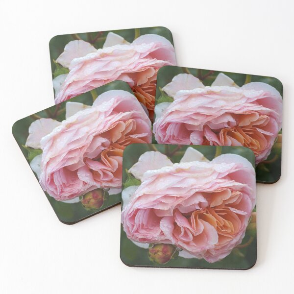 Item preview, Rose and Promise designed and sold by Joy Watson - Natural Light Photography .