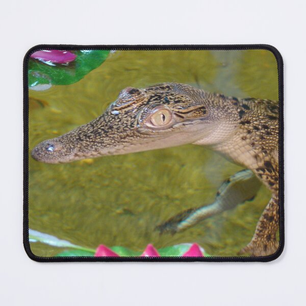 Item preview, Smile it's a crocodile designed and sold by Rainbow Farm Photography.