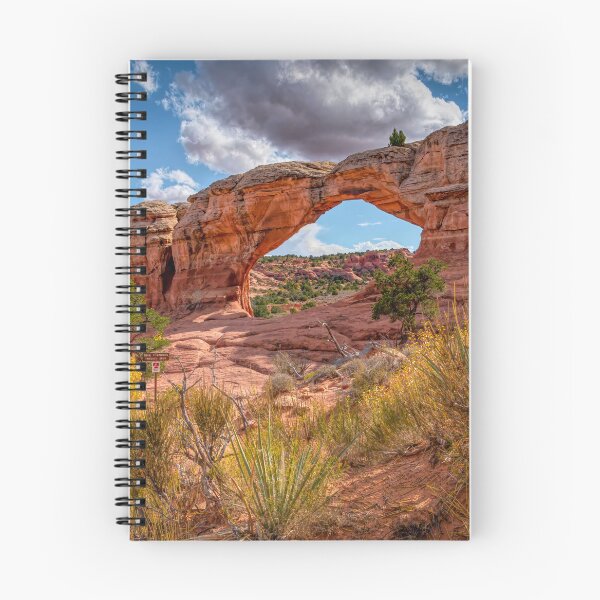 Item preview, Arches National Park designed and sold by Viv Thompson Photography .