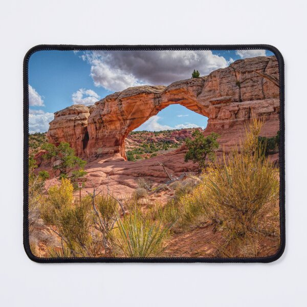 Item preview, Arches National Park designed and sold by Viv Thompson Photography .
