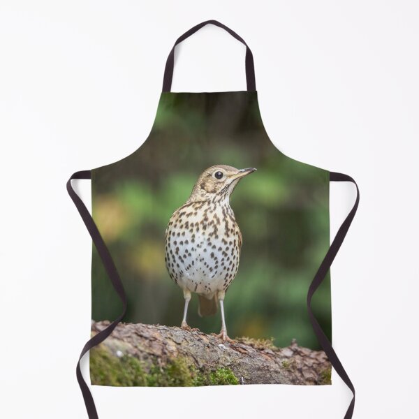 Item preview, Song Thrush #1 designed and sold by Dominika Aniola.