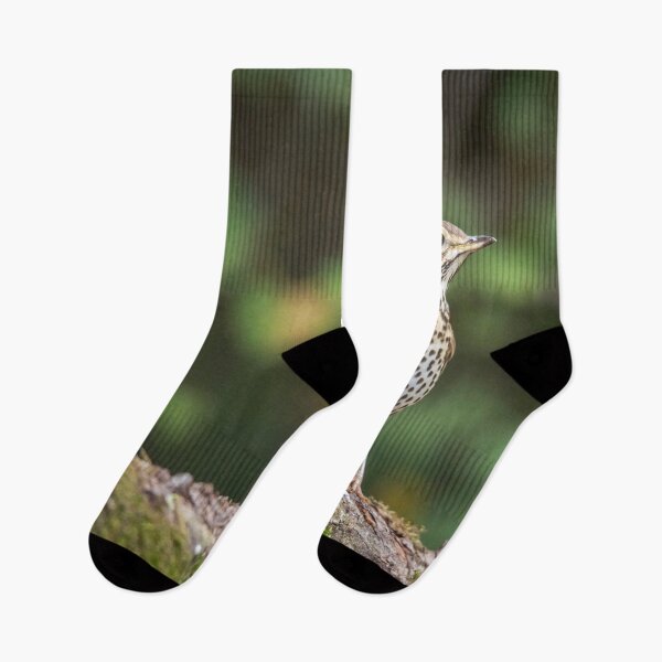 Item preview, Song Thrush #1 designed and sold by Dominika Aniola.