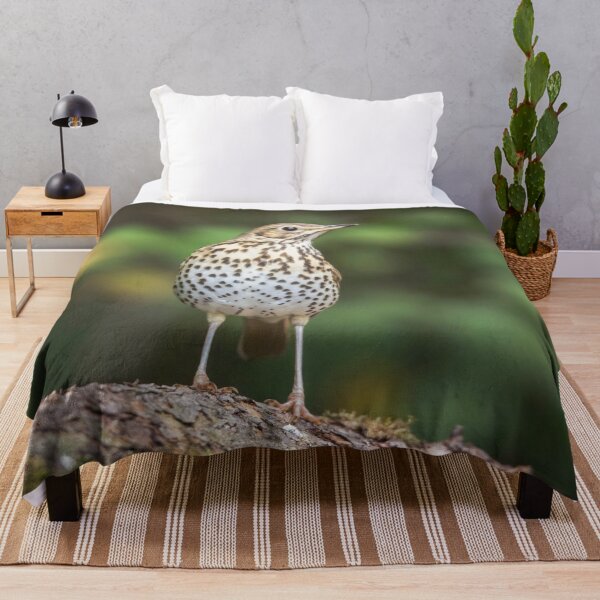 Item preview, Song Thrush #1 designed and sold by Dominika Aniola.
