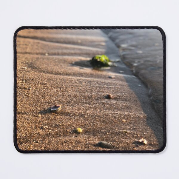 Item preview, Seashell  designed and sold by NicoleSpisak.