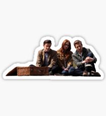 11th Doctor Sticker Sticker
