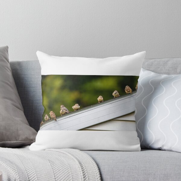 Item preview, Gorriones teniendo una reunión designed and sold by TP-Designs.