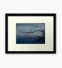 Branch on Water Framed Print