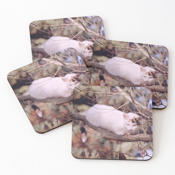 Item preview, Cat Susi on the branch designed and sold by Gourmetkater.