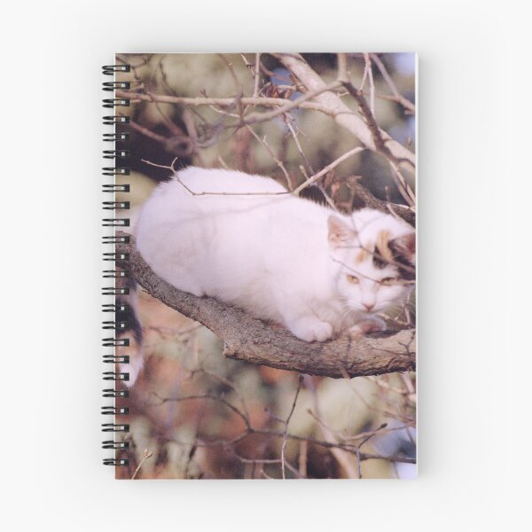 Item preview, Cat Susi on the branch designed and sold by Gourmetkater.