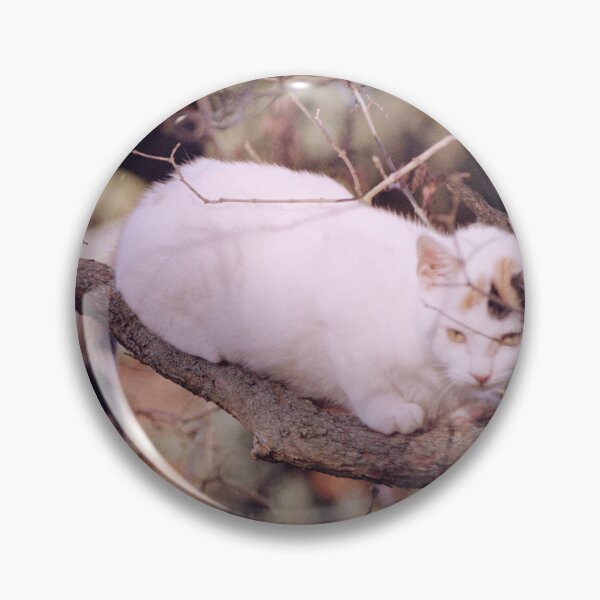 Item preview, Cat Susi on the branch designed and sold by Gourmetkater.