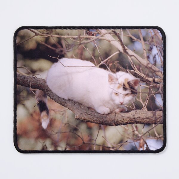Item preview, Cat Susi on the branch designed and sold by Gourmetkater.