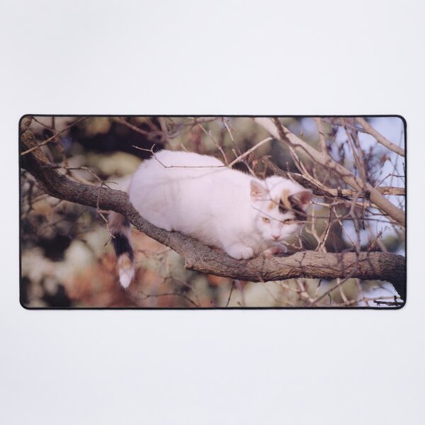 Item preview, Cat Susi on the branch designed and sold by Gourmetkater.