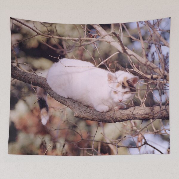Item preview, Cat Susi on the branch designed and sold by Gourmetkater.