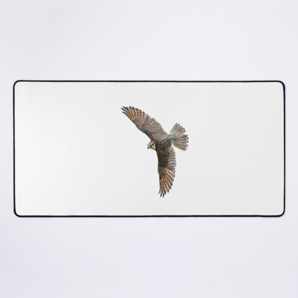 Item preview, Lanner Falcon designed and sold by Dalyndigital Photography.