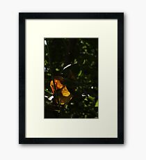 Unique Framed Print