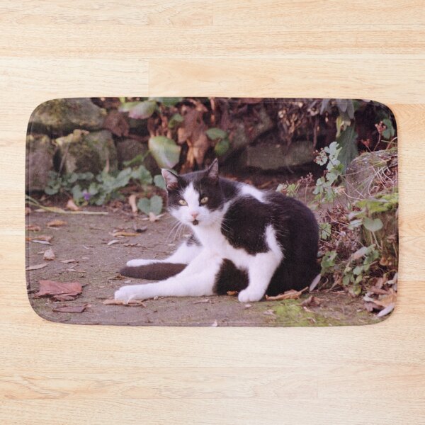 Item preview, Cat Robby designed and sold by Gourmetkater.