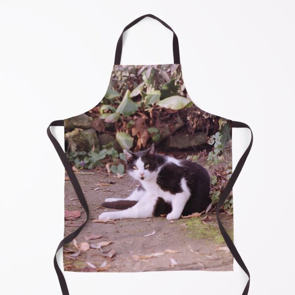 Item preview, Cat Robby designed and sold by Gourmetkater.