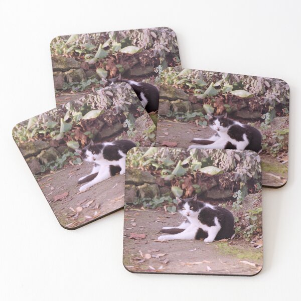Item preview, Cat Robby designed and sold by Gourmetkater.