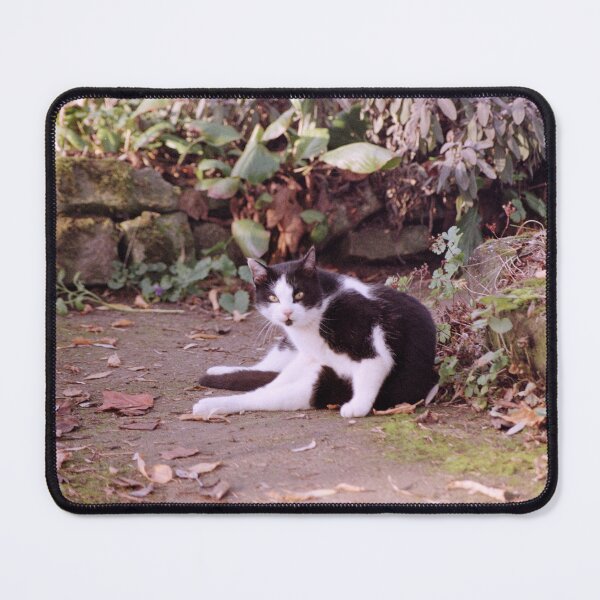 Item preview, Cat Robby designed and sold by Gourmetkater.