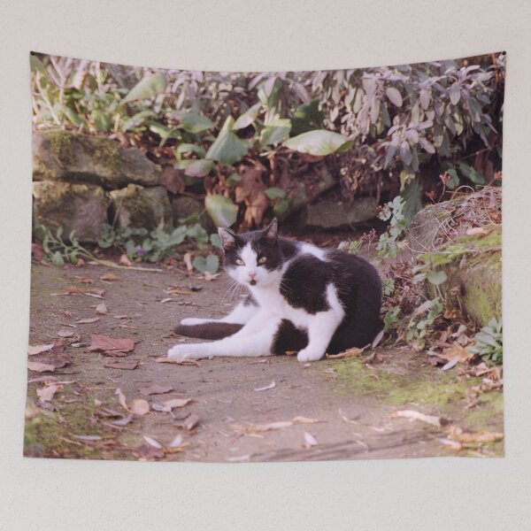 Item preview, Cat Robby designed and sold by Gourmetkater.