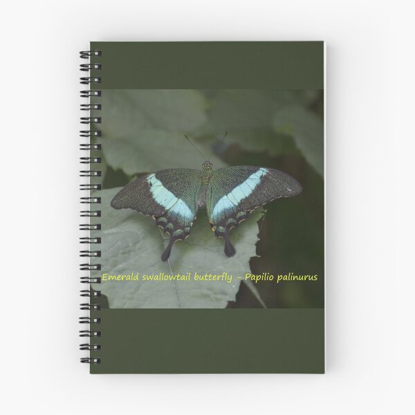 Item preview, Emerald swallowtail butterfly designed and sold by pietrofoto.