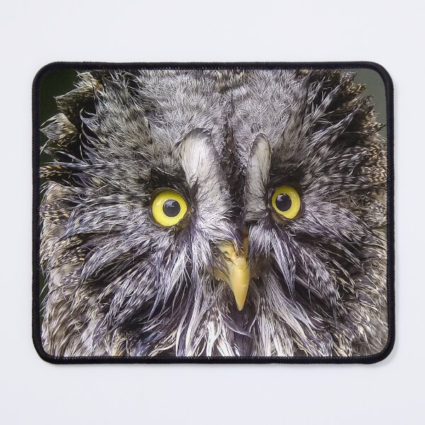 Item preview, face of the phantom designed and sold by Dalyndigital Photography.