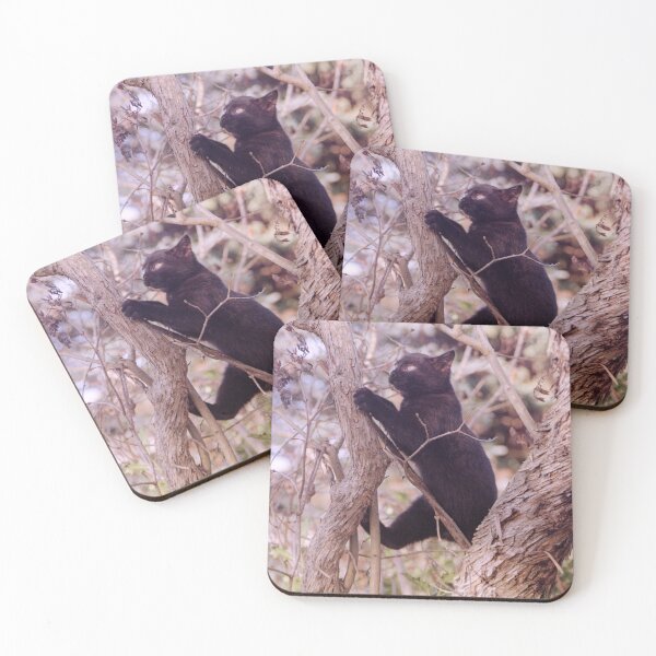 Item preview, Cat Charlie in the tree designed and sold by Gourmetkater.