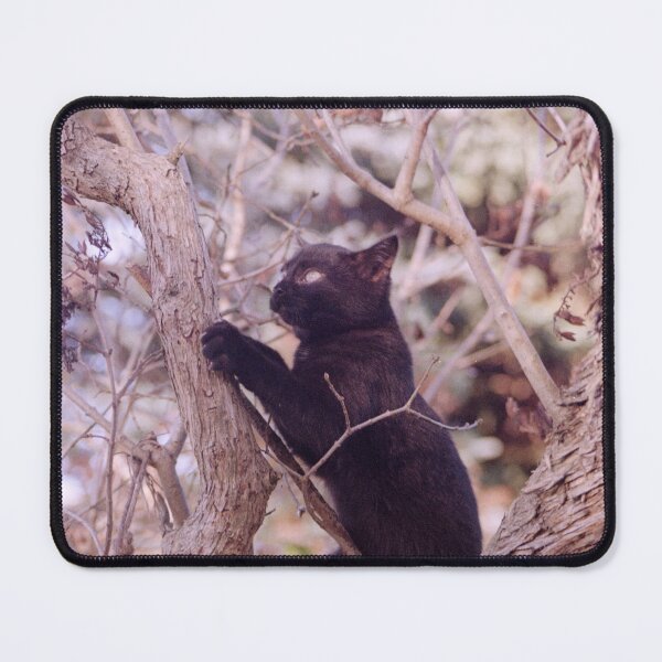Item preview, Cat Charlie in the tree designed and sold by Gourmetkater.
