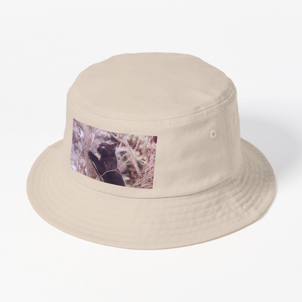 Artikel-Vorschau von Bucket Hat, designt und verkauft von Gourmetkater.