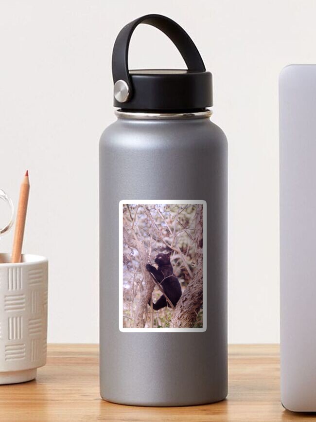 Thumbnail 1 von 3, Sticker, Kater Charly im Baum designt und verkauft von Gourmetkater.