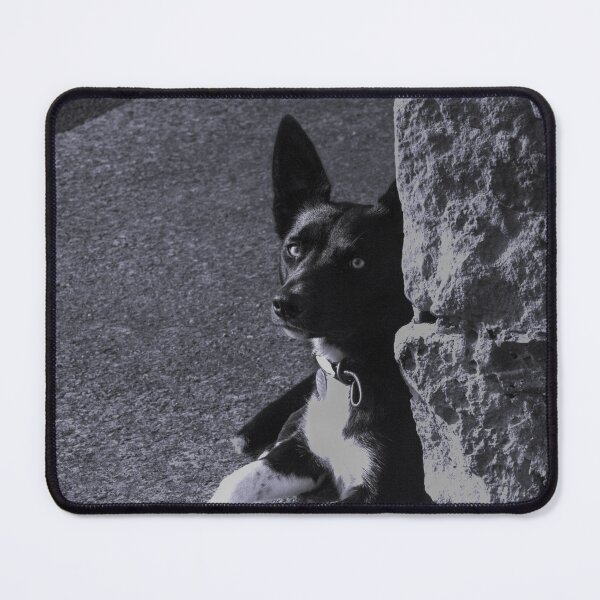 Item preview, sheepdog black and white designed and sold by Francespoppy.